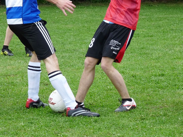 足球生态中 足球生态中