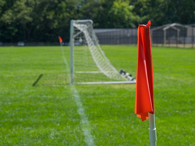 界各地的遊 界各地的遊