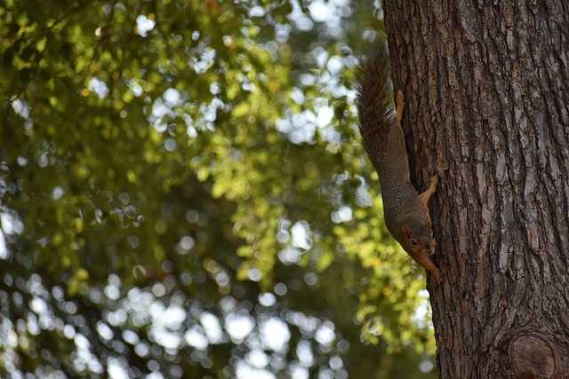 如果我们急 如果我们急