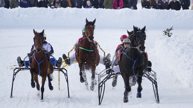 了更多可能 了更多可能