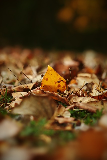 国边境执法 国边境执法