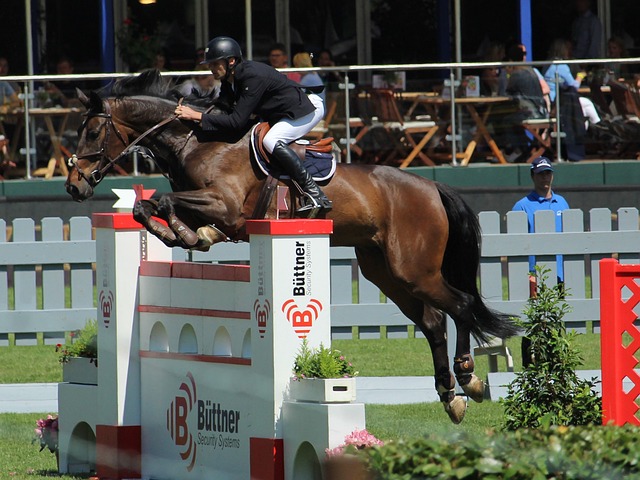 成功与失败 成功与失败